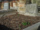 image of grave number 720240